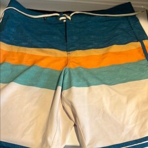 Men's Multicolor Swim Shorts